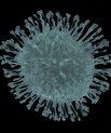 Information about the coronavirus for AU staff and students. (Graphics: Colourbox)