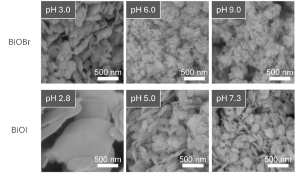 Scanning electron microscope images of different bismuth halides showing the plate-like crystallites