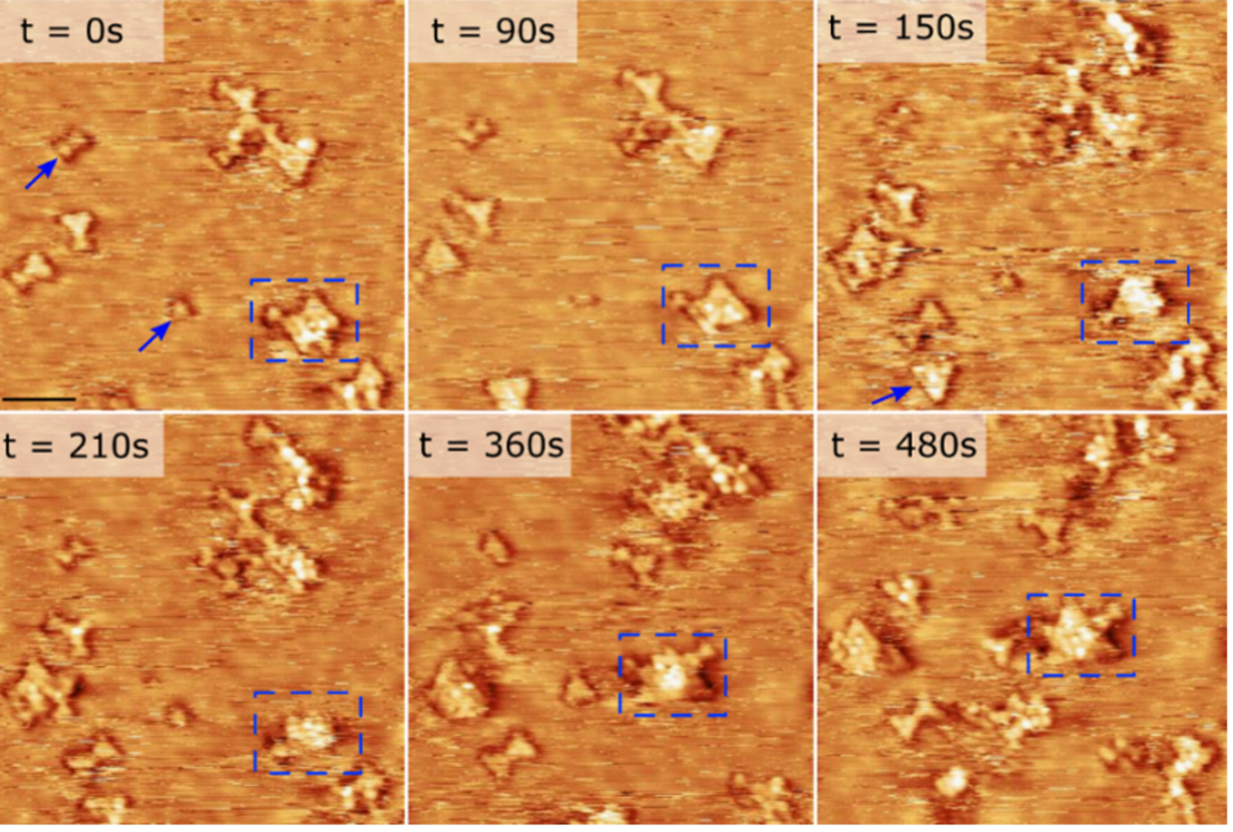A team of scientists from the Interdisciplinary Nanoscience center led by Prof. Jeppe V. Lauritsen have obtained important new insight into the industrially applied catalyst used to convert captured CO2 and H2 gas into green methanol – a key energy carrier in the replacement of fossil fuels.