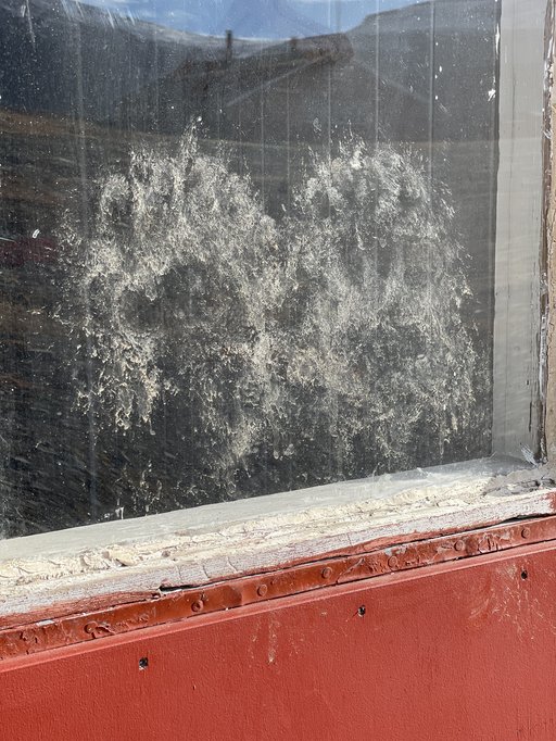 Foto: Peter Bondo Christensen