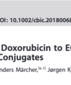 Screenshot from the article "Selective delivery of doxorubicin to EGFR+ cancer cells by Cetuximab-DNA conjugates" published in ChemBioChem