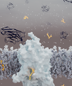 Unraveling the three-dimensional structure of the glycine transporter, researchers have now come a big step closer to understanding the regulation of glycine in the brain. These result open up opportunities to find effective drugs that inhibit GlyT1 funct