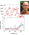 Professor Frans Mulder and coworkers at Aarhus University and the University of Florence have developed a way to improve the interpretation of hydrogen exchange data. (Illustr.: Biophys J, 120, 1-8, September (2021), Photo: private)