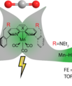 Controlled CO2 reduction to either CO or formic acid dependent on the catalyst design. (Graphics: Copyright © 2020, Journal of the American Chemical Society)