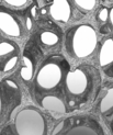 Microscopic view of a porous nickel foam electrode overlaid with a schematic of the oxygen evolution reaction (OER), highlighting how hydrogen and oxygen are split during electrochemical water splitting.