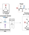 CADIAC publishes in Journal of the American Chemical Society on a novel approach to isotopically labeled beta-amino acid /beta-aminoketone fragments. Image: Reprinted and modified with permission from J. Am. Chem. Soc.20191413011821-11826. Copyright 2019 