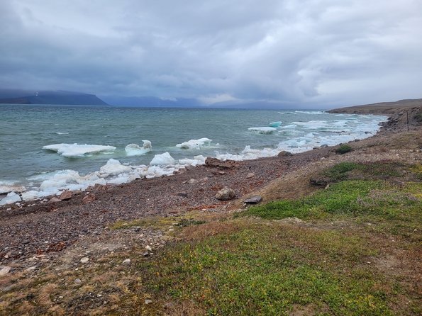 Photo: Henry Henson ©