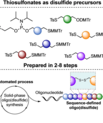 Method for automated solid-phase oligo(disulfide) published in Angewandte Chemie by the Gothelf Lab.