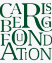 Carlsberg Foundation awards A total of DKK 11,7 million to researchers currently and formerly affiliated with iNANO. (Image by Carlsberg Foundation)