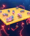 AU researchers collaborate with international research team on improving the efficiency of bioelectrical systems. (Graphics: Copyright © 2020, Nature Research).