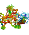 AU researchers Jakob T. NIelsen and Frans Mulder present benchmark for testing protein disorder prediction programmes. NMR ensemble structure for the core domain of the protein p53 colored according to CheZOD Z-scores. (Image: Jakob Toudahl and Frans Muld
