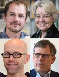 Alexander Zelikin, Birgit Schiøtt, Frans Mulder and Jørgen Skibsted receive DKK 21,4 million in total from Independent Research Fund Denmark. Photos: Lars Kruse (AU Photo) and private.