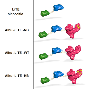 Associate Professor Ken Howard and his research team join forces with world leading scientists to develop new platform for tunable immunotherapy. (Image: Nature Commun Biol 4, Article no. 310 (2021))