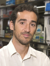 Portrait of Associate Professor Francesco Ricci. Photo by Rod Rolle.