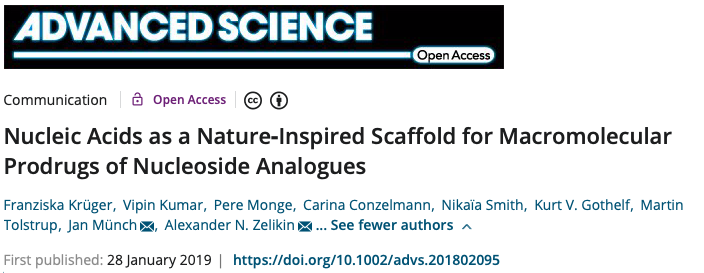Screenshot of the article "Nucleic Acids as a Nature?Inspired Scaffold for Macromolecular Prodrugs of Nucleoside Analogues"'s title from the journal website